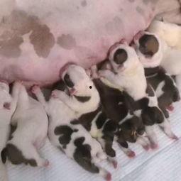 网红明星 第3页