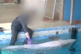 生殖器48公分视频,48公分生殖器震撼视频背后的真相